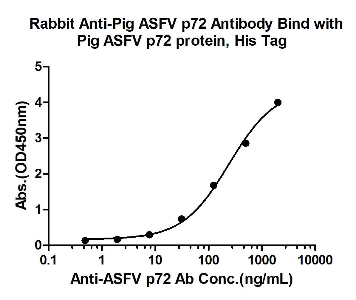0 - ASFV p72 Rabbit pAb AP94151