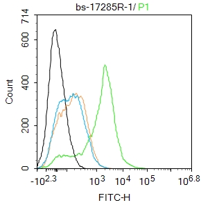 0 - Schlafen 8 Rabbit pAb AP94197