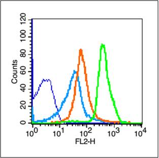 0 - CD14 Rabbit pAb AP94199