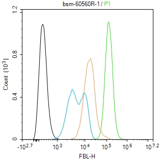 0 - Fibrillarin Recombinant Rabbit mAb AP94290