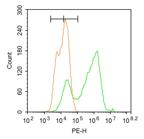 0 - Pro-neuregulin-1, membrane-bound isoform Rabbit pAb AP94299