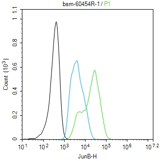 0 - JUNB Recombinant Rabbit mAb AP94316