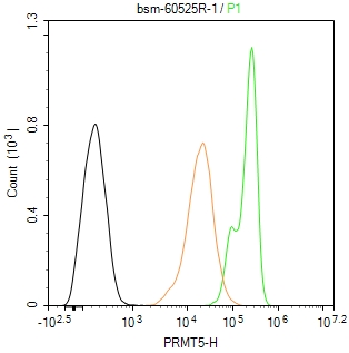 0 - PRMT5 Recombinant Rabbit mAb AP94368