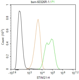 0 - STING1 Recombinant Rabbit mAb AP94378