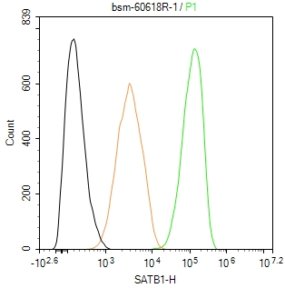 0 - SATB1 Recombinant Rabbit mAb AP94379