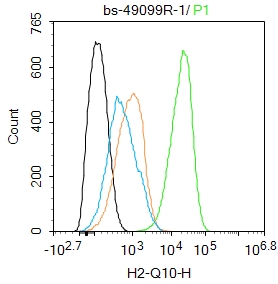 0 - H2-Q10 Rabbit pAb AP94415