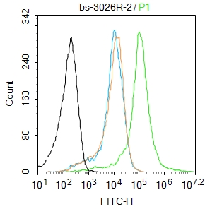0 - phospho-AMPK beta 1 (Ser108) Rabbit pAb AP94422