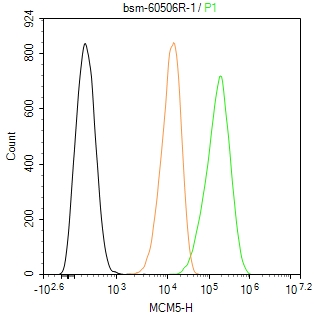 0 - MCM5 Recombinant Rabbit mAb AP94436
