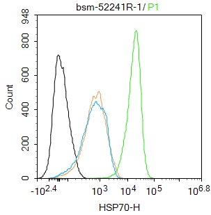 0 - HSP70 Recombinant Rabbit mAb AP94455
