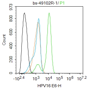 0 - HPV16 E6 Rabbit pAb AP94472