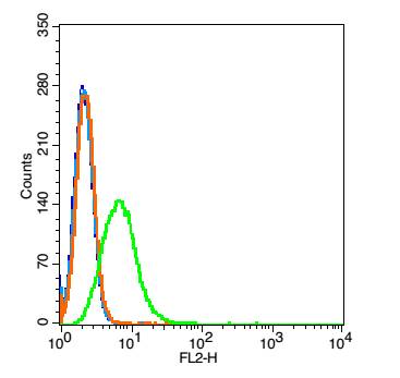 0 - C5ORF42 Rabbit pAb AP94482