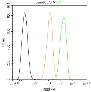 0 - RBBP4 Recombinant Rabbit mAb AP94487