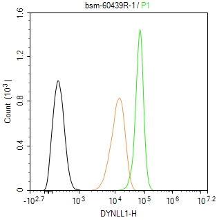 0 - DYNLL1 Recombinant Rabbit mAb AP94490