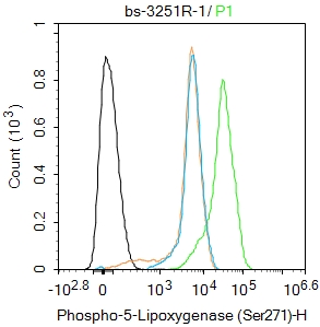 0 - phospho-ALOX5 (Ser271) Rabbit pAb AP94529