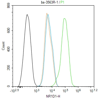 0 - NR1D1 Rabbit pAb AP94534