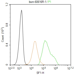 0 - SF1 Recombinant Rabbit mAb AP94580