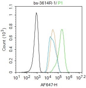 0 - PPAR alpha Rabbit pAb AP94621