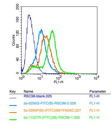 0 - GALR2 Rabbit pAb AP94623