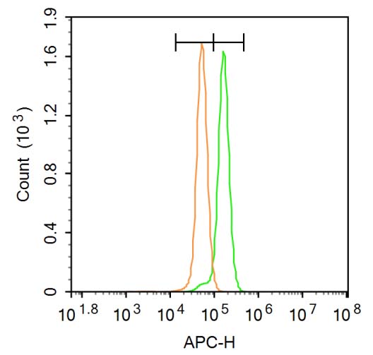 0 - CAPN1 Rabbit pAb AP94625