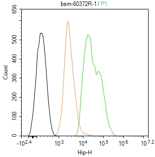 0 - ST13 Recombinant Rabbit mAb AP94635