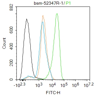 0 - PCNA Recombinant Rabbit mAb, Nuclear Loading Control AP94695