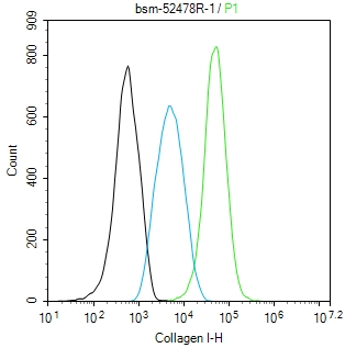 0 - Collagen I Recombinant Rabbit mAb AP94712
