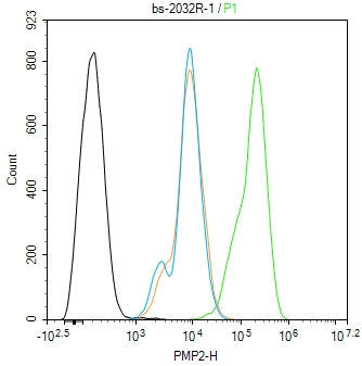 0 - PMP2 Rabbit pAb AP94751