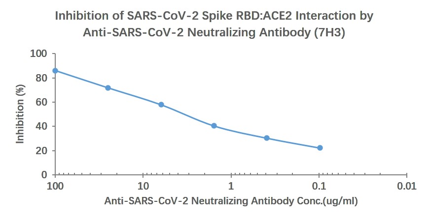 0 - SARS-CoV-2 (2019-nCoV) Spike  Neutralizing Mouse mAb AP94773