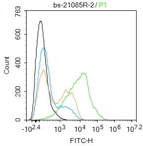 0 - RAB42 Rabbit pAb AP94842