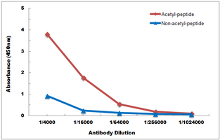 10 - Anti-Histone H2A (Acetyl-K7) Antibody AP54109