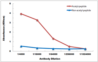 10 - Anti-Histone H2B (Acetyl-K34) Antibody AP54110