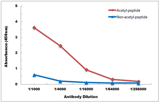 10 - Anti-Histone H2A (Acetyl-K95) Antibody AP61136