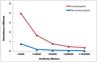 10 - Anti-Histone H2A (Acetyl-K9) Antibody AP61491
