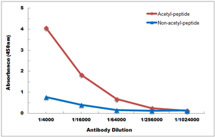 10 - Anti-Histone H2B (Acetyl-K125) Antibody AP61493