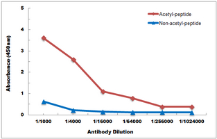10 - Anti-Histone H3 (Acetyl-K4) Antibody AP61494