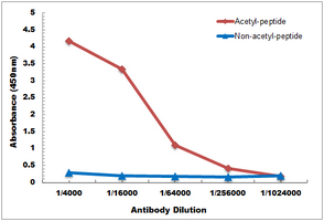 10 - Anti-RAB21 (Acetyl-K109) Antibody AP61505