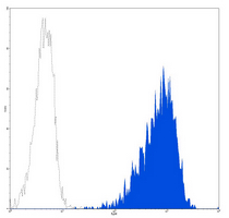 4 - Anti-CD10 Antibody AP95471