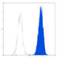 4 - Anti-CD13 Antibody AP95476