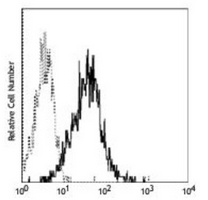 4 - Anti-CD147 Antibody AP95478
