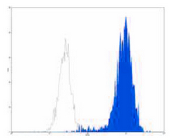 4 - Anti-CD15 Antibody AP95479