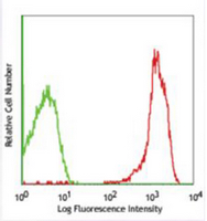 4 - Anti-CD2 Antibody AP95486