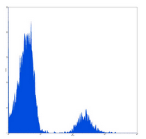 4 - Anti-CD20 Antibody AP95487