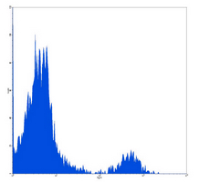 4 - Anti-CD21 Antibody AP95488