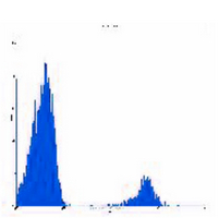 4 - Anti-CD22 Antibody AP95490