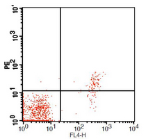 4 - Anti-CD23 Antibody AP95491