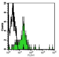 4 - Anti-CD282 Antibody AP95494