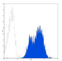 4 - Anti-CD29 Antibody AP95495