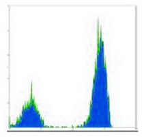 4 - Anti-CD3 Antibody AP95496