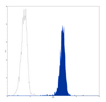 4 - Anti-CD31 Antibody AP95497