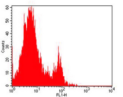 4 - Anti-CD32 Antibody AP95498
